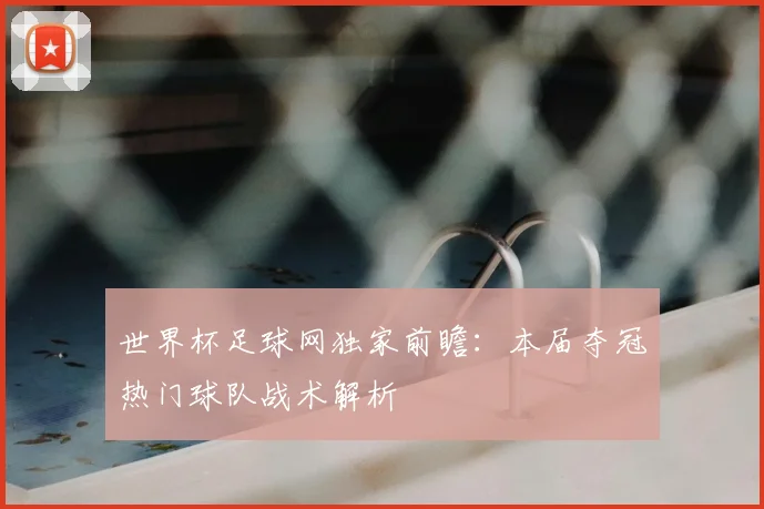 世界杯足球网独家前瞻：本届夺冠热门球队战术解析