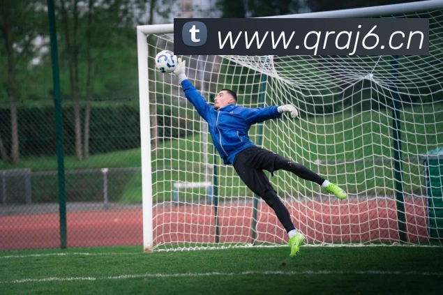 App Interface Preview